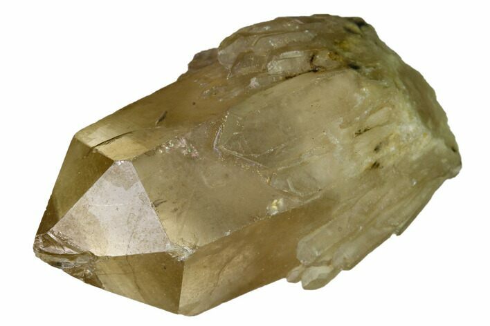 Citrine Quartz Crystal Cluster - Lwena, Congo #170669